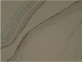 Another alt text