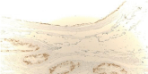 Another alt text