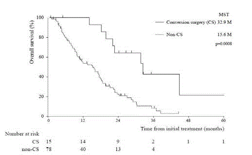 Clinical Implications of Conversion Surgery for Initially Unresectable ...